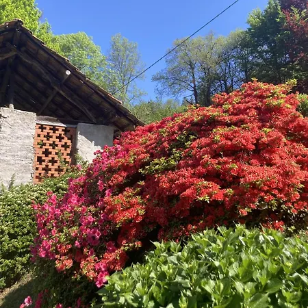 Bed & Breakfast La Tonaccia - Per Due *